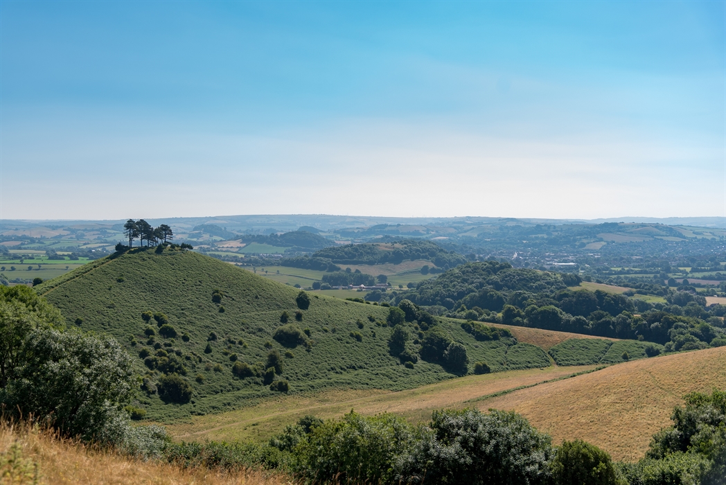 Symondsbury Estate - Visit Dorset