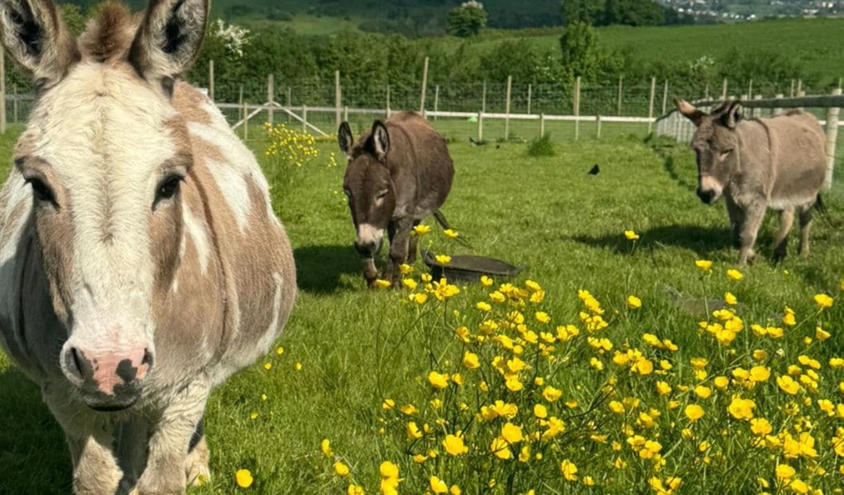 Chew Valley Animal Park Location
