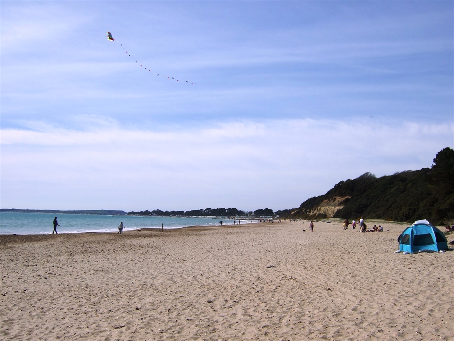 Se Admiten Perros En La Playa De Highcliffe.