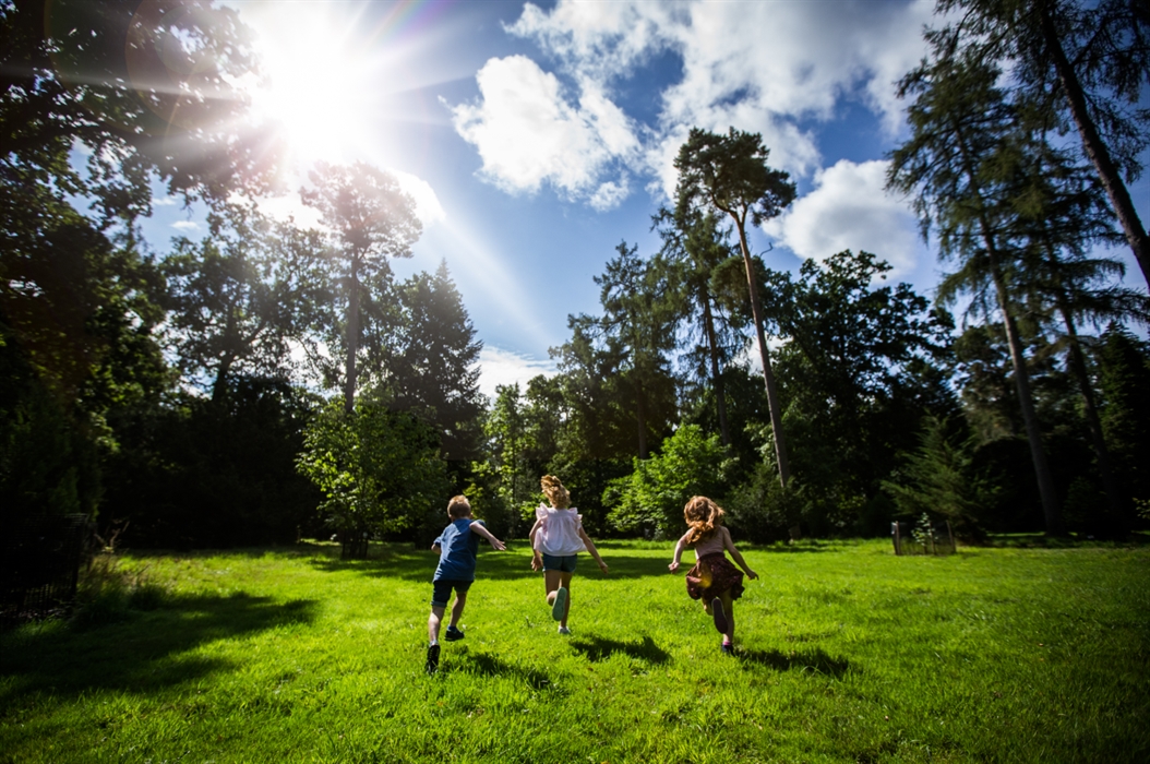 Image for Westonbirt, The National Arboretum