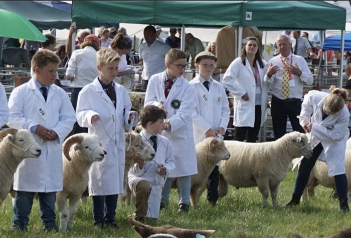 Official artwork for Mid Devon Show