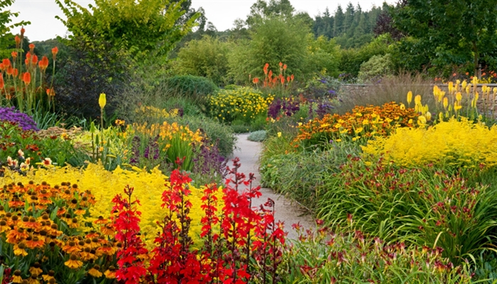 Rhs Rosemoor Gardens Map | Fasci Garden